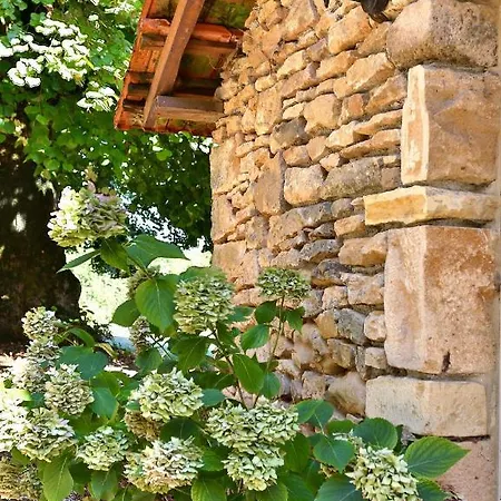 Domaine De La Licorne Holiday home *