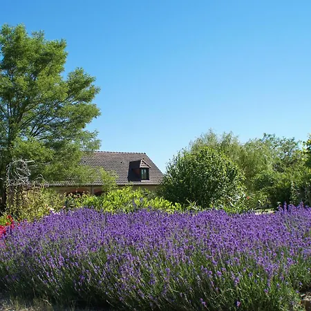 Domaine De La Licorne *