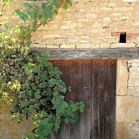 Domaine De La Licorne * La Chapelle-Aubareil