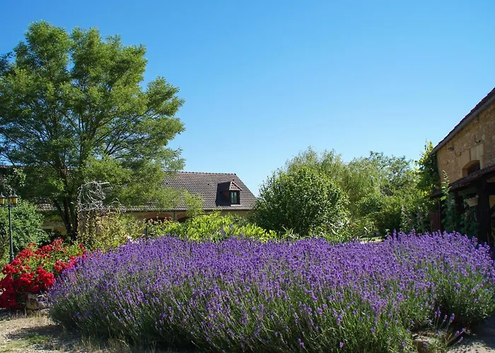 Domaine De La Licorne *